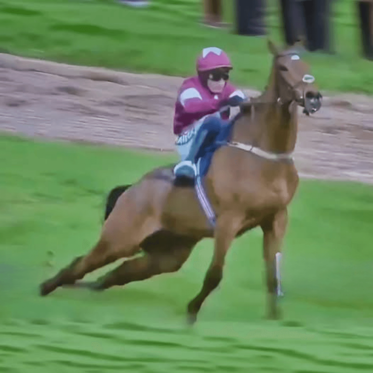 “TRIUMPH OR TRAGEDY? ‘Gold Dancer’ Defies Pain to Win — Then Collapses in a Heartbreaking Finish That’s Dividing the World”_pom